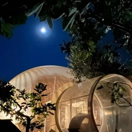 Bubblenature Lüks kamp alanı